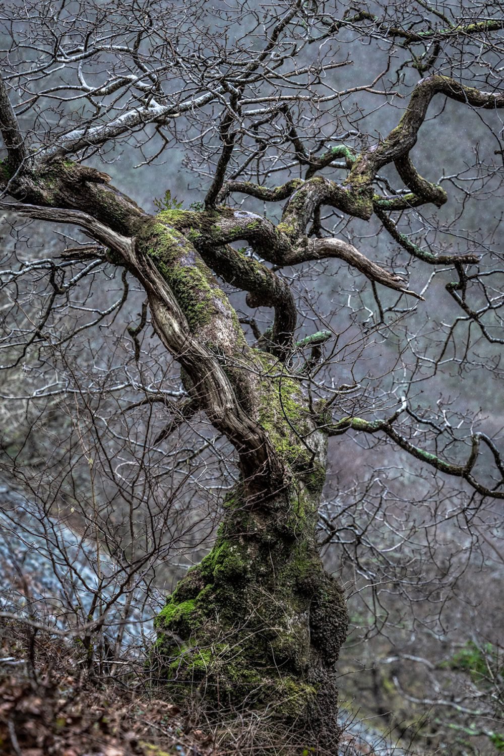 зі сторінки авторки у фейсбук