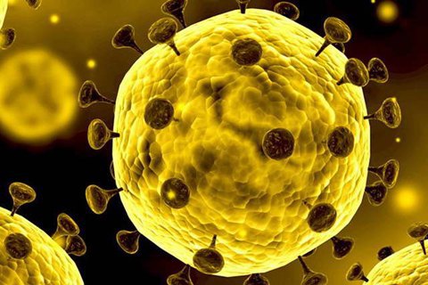 Четвертый случай заражения коронавирусом зафиксировали во Франции 