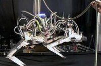 Американский четырехногий робот побил рекорд скорости