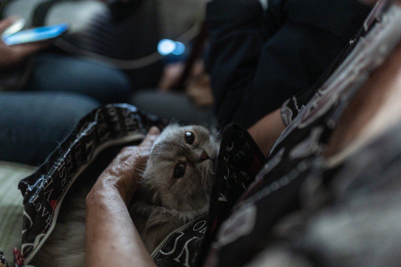 Евакуація із Костянтинівки