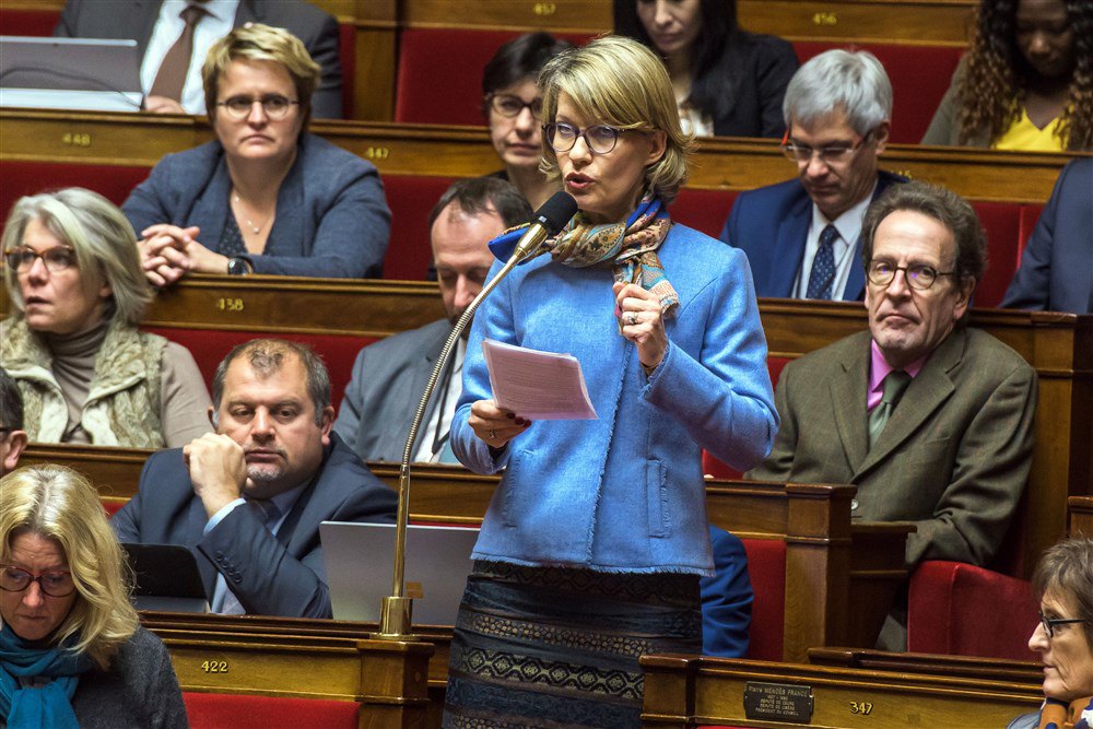 Парламентарка Анн Женете виступає на засіданні Національних зборів у Парижі.
