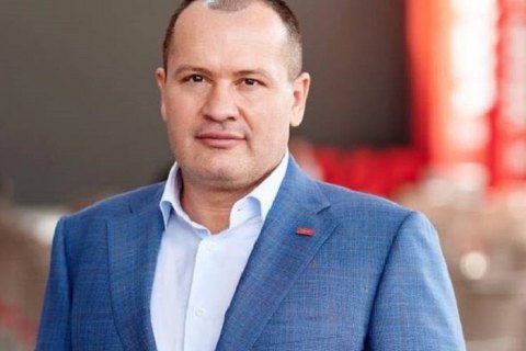 Виконком партії "УДАР Віталія Кличка" очолив екснардеп Палатний