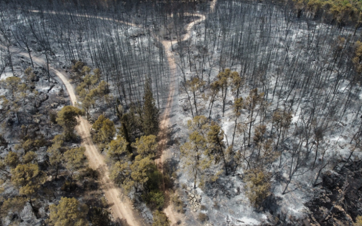 Низка європейських країн надсилають літаки до Ізраїлю для боротьби з пожежею