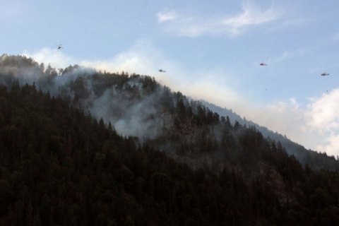 В горах Баварии вторые сутки полыхает лесной пожар