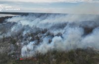У Запоріжжі горіла Хортиця: ДСНС залучила техніку