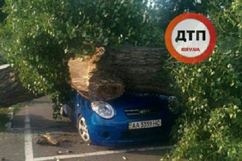 У Києві на Оболоні дерево розчавило автомобіль