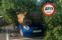 У Києві на Оболоні дерево розчавило автомобіль