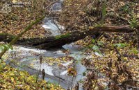 На Хмельниччині підприємство забруднило річку на 14 млн грн