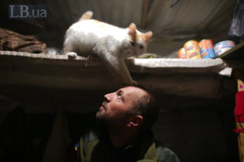 Война и выборы: как и почему голосовали военные на фронте