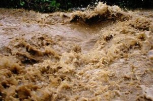 МНС: у Карпатах можуть зійти селеві потоки