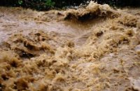 МЧС: в Карпатах могут сойти селевые потоки