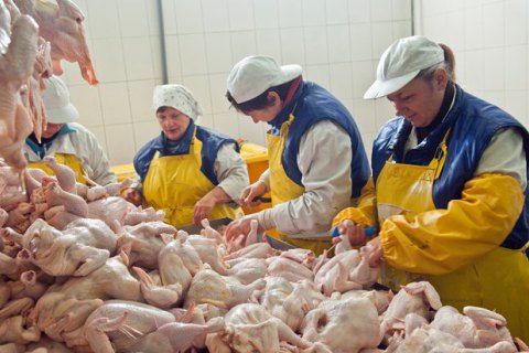 Европарламент поддержал увеличение квоты для украинских экспортеров мяса птицы