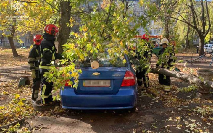 Через негоду в Україні травмовано 10 осіб