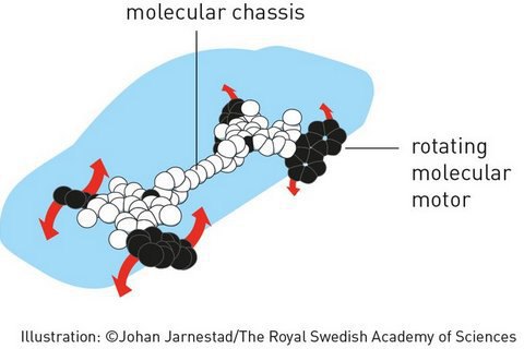 Нобеля по химии получили создатели молекулярных машин