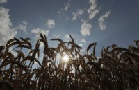Латвія вимагає замінити експортоване російське зерно в ЄС на українське