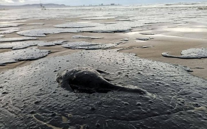 Розлив мазуту з танкерів у Чорному морі: всі пляжі російської Анапи виявилися недоступними для купання