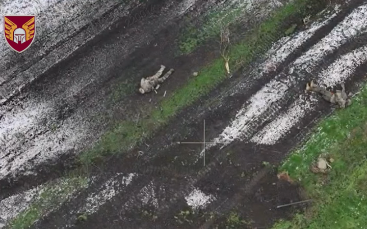 ​Десантники показали розгром російської колони на Покровському напрямку