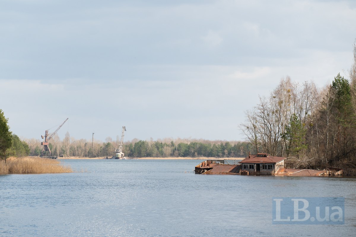 Пейзаж зони відчуження