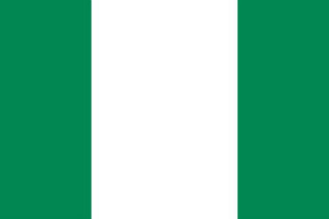 У Нігерії міністр звинуватив 55 екс-чиновників у крадіжці $9 млрд з держскарбниці
