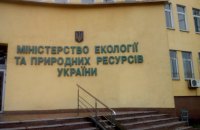 Мінприроди звільнило в.о. директора "Укрекоінвесту" через скандальний тендер