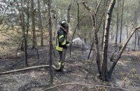Спасатели ликвидировали лесные пожары в Луганской области