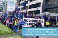 У Новій Зеландії біля парламенту зібрався кількатисячний антиурядовий мітинг