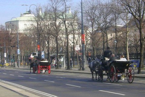 Поліція Австрії заявила про запобігання теракту у Відні