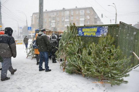 В Киеве купить елки можно на 187 официальных ярмарках