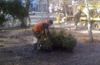 Донецкие власти на месте палаток чернобыльцев срочно сажают елки