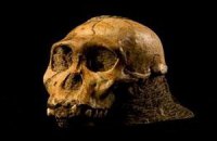 Палеонтологи объявили о находке древнейшего предка человека