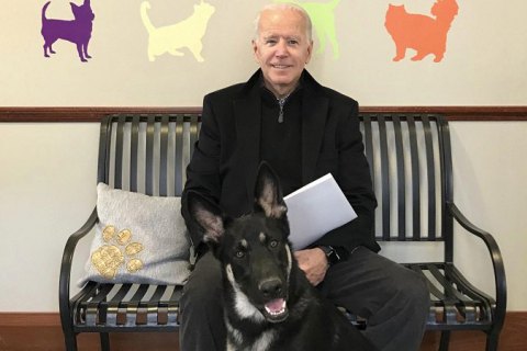 Собака Байдена снова покусала человека в Белом доме