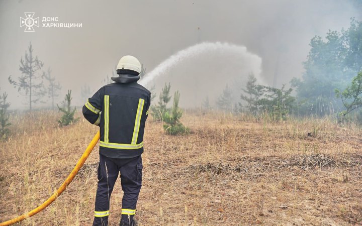 На Харківщині триває ліквідація 5 лісових пожеж площею 3300 га, спричинених російськими обстрілами