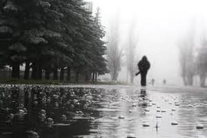 В среду в Киеве местами небольшой дождь