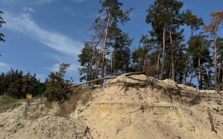 Під обстрілами в Харкові боронять ліс. Хто блокує надання природоохоронного статусу? 