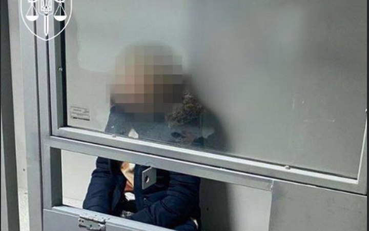 З Німеччини в Україну екстрадували жінку, яка підозрюється у торгівлі дітьми під прикриттям сурогатного материнства