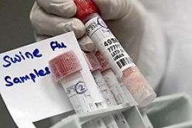 В Украине подтверждены 494 случая "свиного гриппа"
