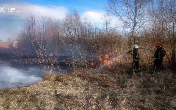 На Київщині внаслідок спалювання сухої трави загинули двоє людей