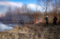 На Київщині внаслідок спалювання сухої трави загинули двоє людей
