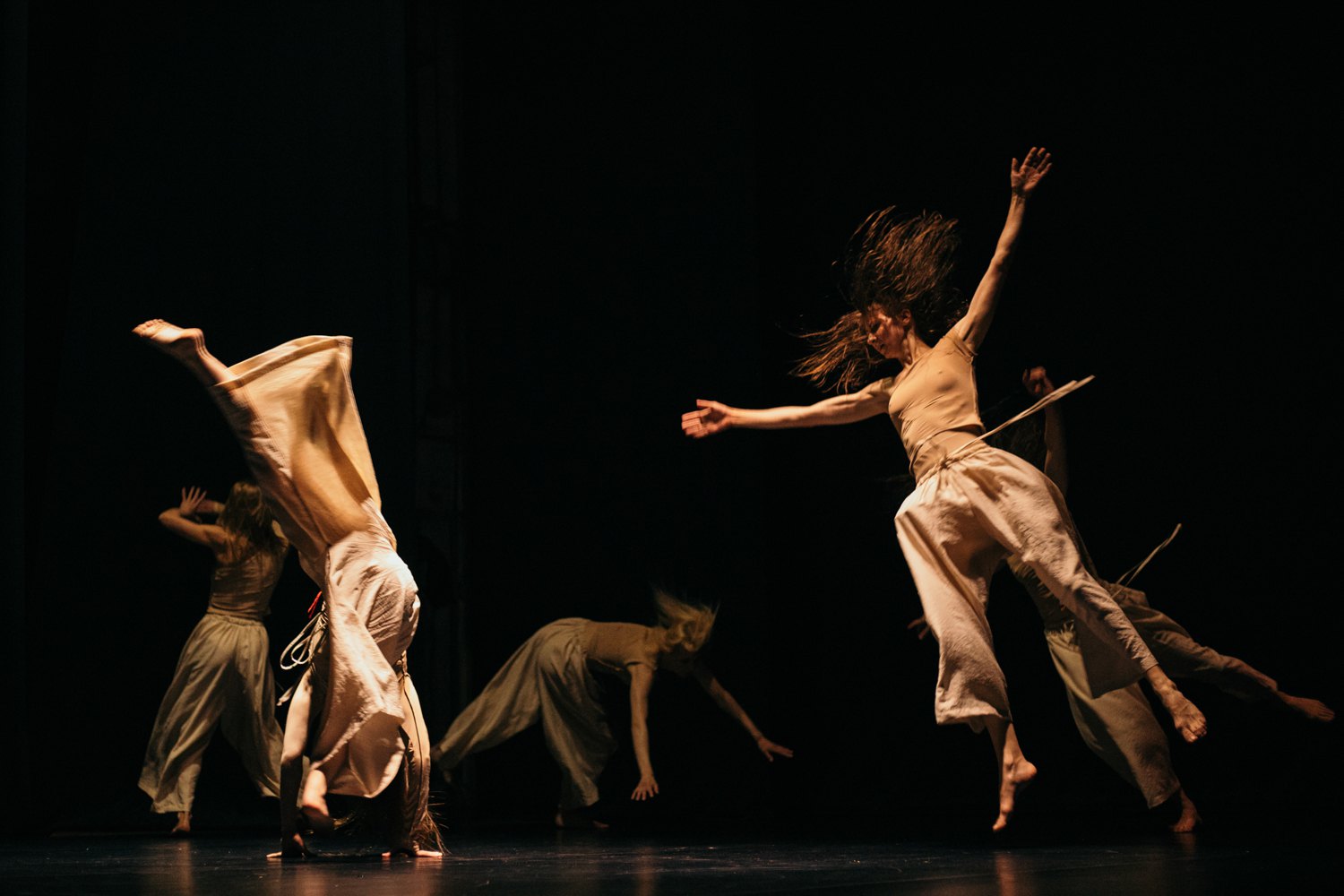  Вистава «Косачка».