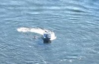 В ДПСУ розповіли, що під час спроби перетнути Дністер загинув чоловік