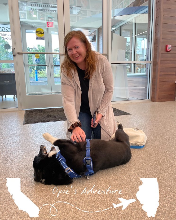 Опі зустрівся з власницею 