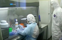 В России за сутки зарегистрировали шесть новых случаев коронавируса (обновлено)