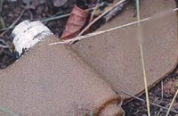 На Сумщині на вибухонебезпечних предметах підірвались двоє людей