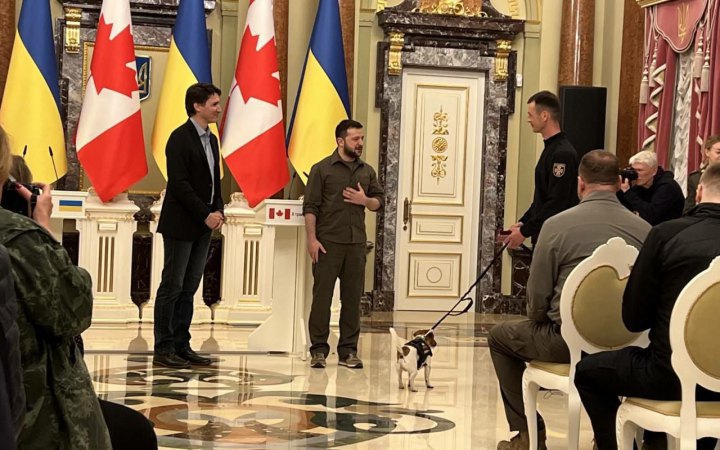 Зеленский наградил медалью собаку – сапера Патрона