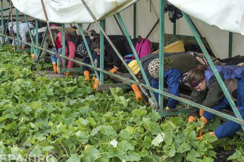 Битва за рабочие руки