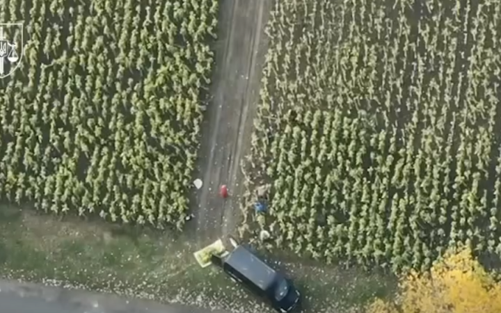 Правоохоронці заявили про викриття незаконного виготовлення тютюну в промислових масштабах на Прикарпатті