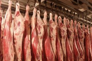 ЕС ограничит продажу мяса клонированных животных