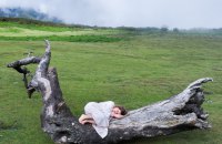 Українці в Ірландії долучаться до загальнонаціональної Ночі культури 