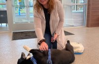 У США загубленого під час шторму собаку знайшли через два місяці за 2000 миль від дому