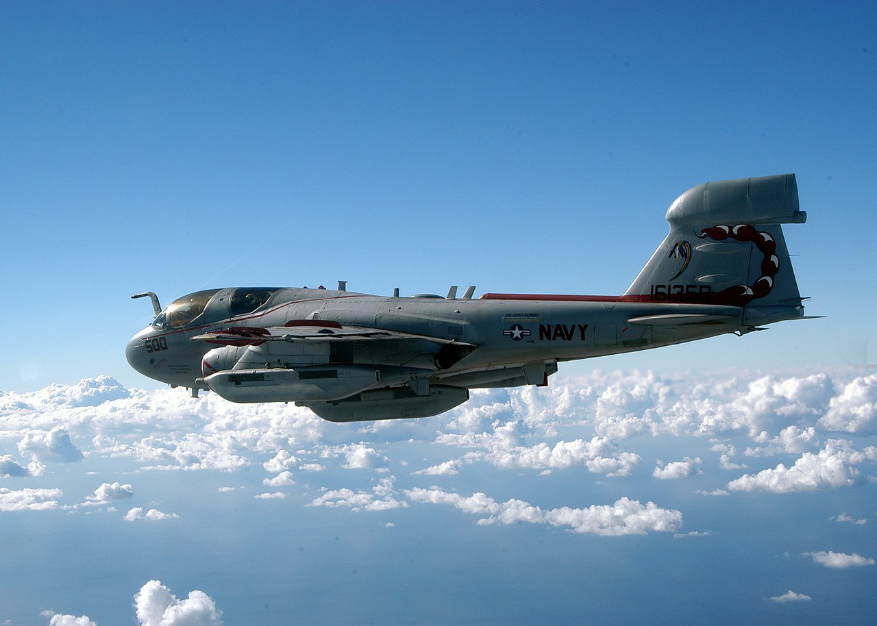 Grumman EA-6B Prowler – американський літак радіоелектронної боротьби
